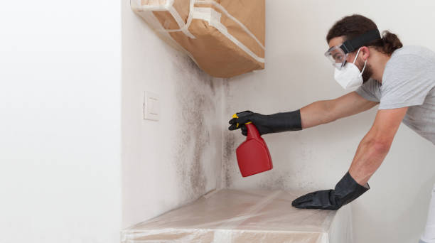 Attic Mold Remediation treatment on roof deck in Wilmette